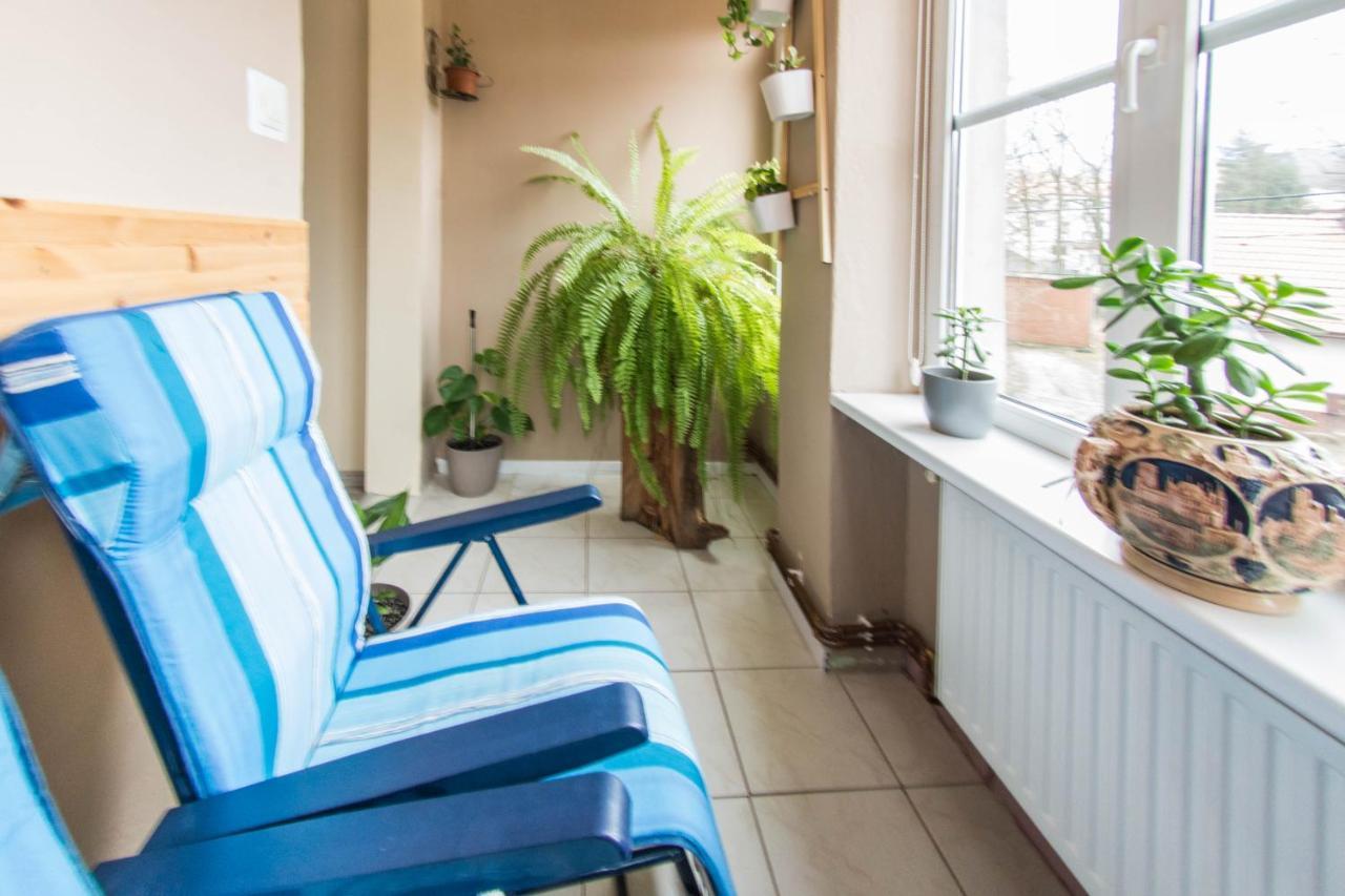 Apartamenty Izerskie - Ul. Wczasowa 8 Świeradów-Zdrój المظهر الخارجي الصورة