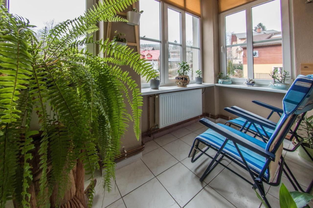 Apartamenty Izerskie - Ul. Wczasowa 8 Świeradów-Zdrój المظهر الخارجي الصورة